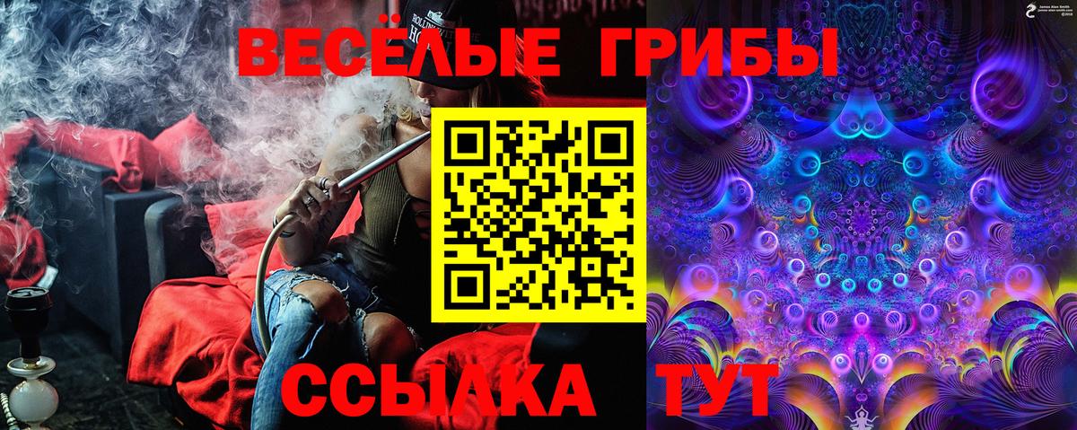 Галлюциногенные грибы Psilocybine cubensis  Вход с VPN  Кемерово 